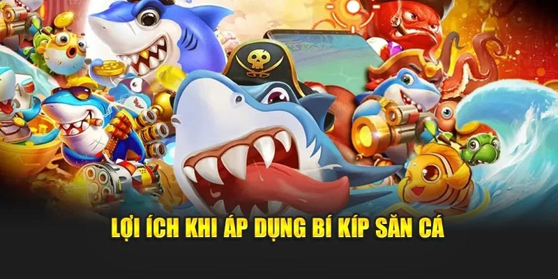 Lợi ích khi áp dụng bí kíp săn cá